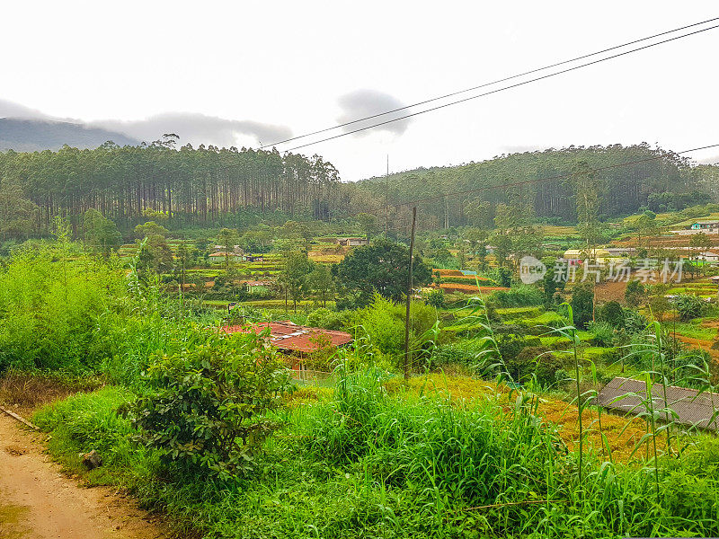 在斯里兰卡的火车旅行通过茶叶种植园Ella, Nuwara Eliya和Kandy